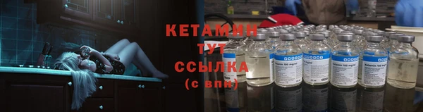 крисы Верея
