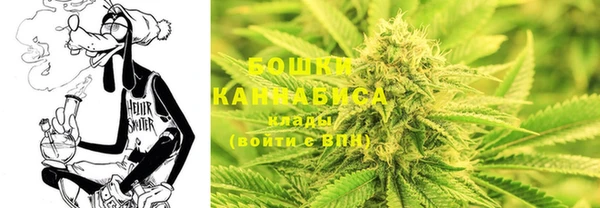 крисы Верея