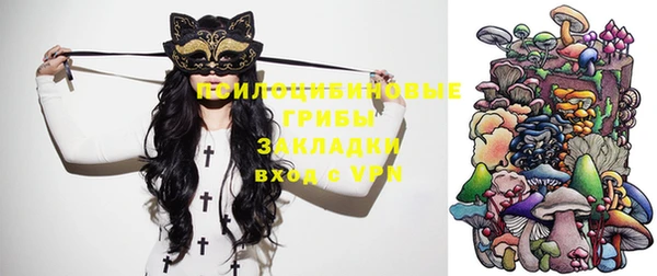 прущая мука Бородино