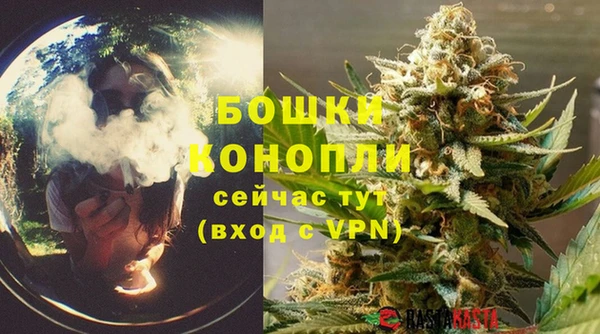 шишки Бронницы